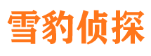 通河市私家侦探